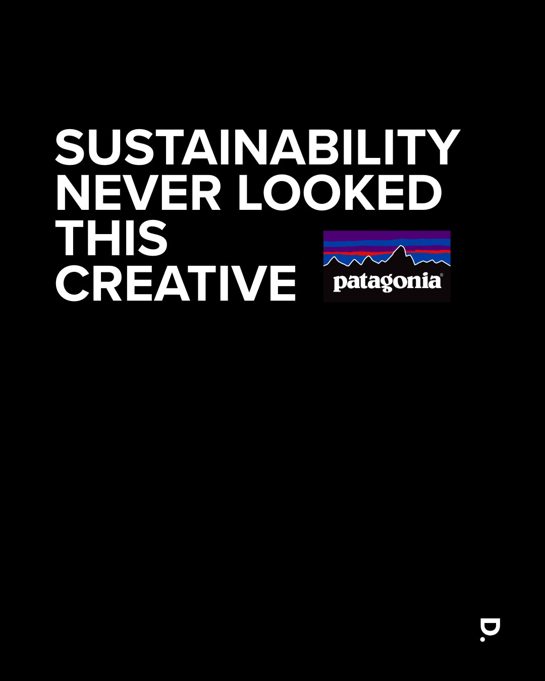Patagonia's Creative Ads
